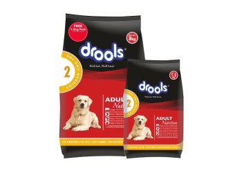 Nourriture sèche pour chien