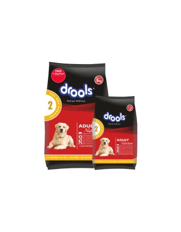 Comida seca para perros