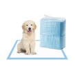 Underpad