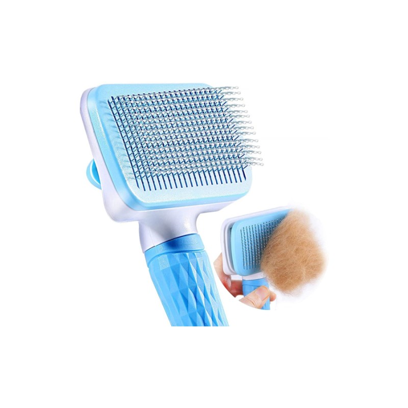 Hair Brush Hair Brush