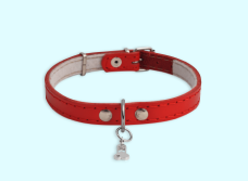 Dry Dog Food
