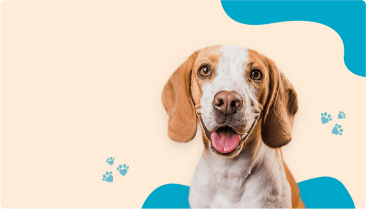 Offer Banner